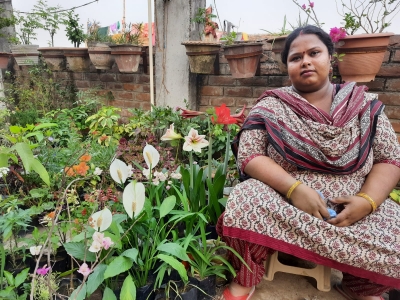 Green thumb couple turn their garden into a business venture | Green thumb couple turn their garden into a business venture