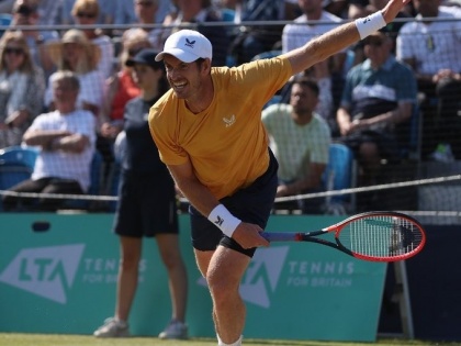 Andy Murray reaches Surbiton Challenger final | Andy Murray reaches Surbiton Challenger final