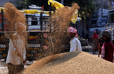 Telangana farmers emerge largest beneficiary for last season's paddy MSP | Telangana farmers emerge largest beneficiary for last season's paddy MSP