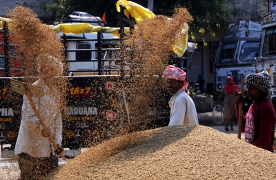 BJD demands to enhancement of paddy MSP to Rs 2,930 per quintal | BJD demands to enhancement of paddy MSP to Rs 2,930 per quintal BJD demands to enhancement of paddy MSP to Rs 2,930 per quintal | BJD demands to enhancement of paddy MSP to Rs 2,930 per quintal
