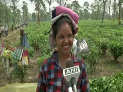 BJP's unfulfilled promises to tea garden workers may hamper its prospects in Upper Assam | BJP's unfulfilled promises to tea garden workers may hamper its prospects in Upper Assam