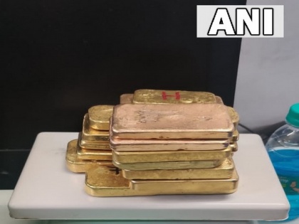 19 gold bars weighing 15.576 kgs seized from Kenyan passengers at Delhi Airport | 19 gold bars weighing 15.576 kgs seized from Kenyan passengers at Delhi Airport