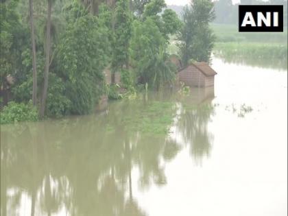 Death toll due to floods in Bihar rises to 24, over 75 lakh people affected | Death toll due to floods in Bihar rises to 24, over 75 lakh people affected Death toll due to floods in Bihar rises to 24, over 75 lakh people affected | Death toll due to floods in Bihar rises to 24, over 75 lakh people affected