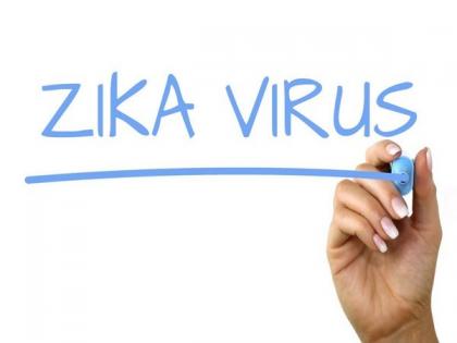 Unravelling mother to baby transmission of Zika virus | Unravelling mother to baby transmission of Zika virus Unravelling mother to baby transmission of Zika virus | Unravelling mother to baby transmission of Zika virus