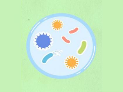 Breakthrough study finds microbial gene discovery could mean greater gut health | Breakthrough study finds microbial gene discovery could mean greater gut health