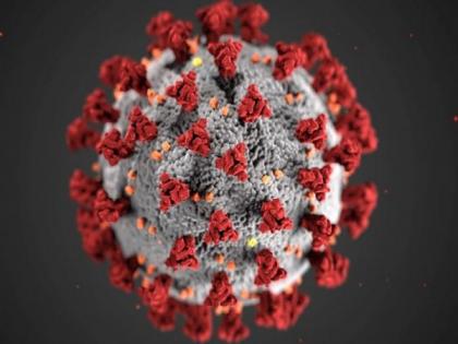 New AI model could help predict viruses likely to spread from animals to humans | New AI model could help predict viruses likely to spread from animals to humans New AI model could help predict viruses likely to spread from animals to humans | New AI model could help predict viruses likely to spread from animals to humans