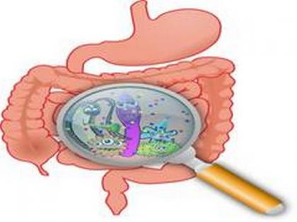 Study discovers new measures to predict risk of bowel diseases | Study discovers new measures to predict risk of bowel diseases Study discovers new measures to predict risk of bowel diseases | Study discovers new measures to predict risk of bowel diseases