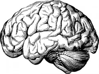 Greater exposure to estrogen for women may protect from Alzheimer's disease: Study | Greater exposure to estrogen for women may protect from Alzheimer's disease: Study Greater exposure to estrogen for women may protect from Alzheimer's disease: Study | Greater exposure to estrogen for women may protect from Alzheimer's disease: Study