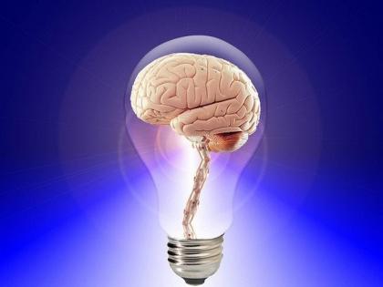 Researchers suggest forgetting is a form of learning | Researchers suggest forgetting is a form of learning