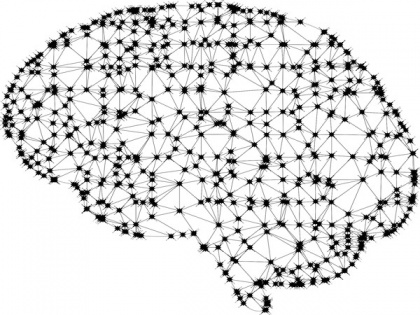 Brain networks enable human conversation: Study | Brain networks enable human conversation: Study