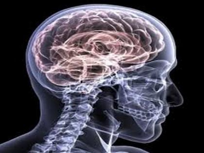 Here's how head injuries may worsen cognitive decline decades later | Here's how head injuries may worsen cognitive decline decades later