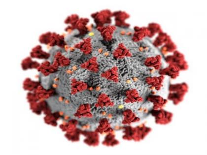 Antibody protects against broad range of COVID-19 virus variants, study finds | Antibody protects against broad range of COVID-19 virus variants, study finds