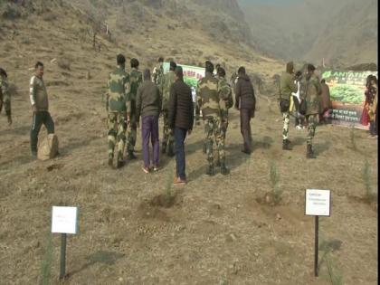 BSF organises plantation drive on Zabarwan hills in Srinagar | BSF organises plantation drive on Zabarwan hills in Srinagar BSF organises plantation drive on Zabarwan hills in Srinagar | BSF organises plantation drive on Zabarwan hills in Srinagar