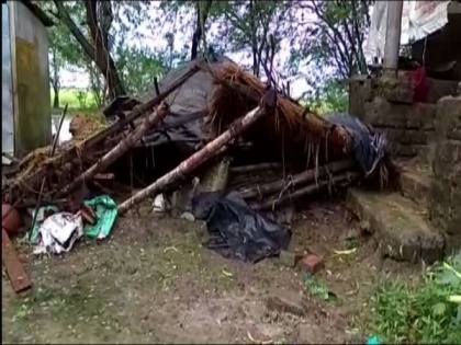 WB: 1 killed, 2 injured as tree falls over house in North 24 Parganas | WB: 1 killed, 2 injured as tree falls over house in North 24 Parganas