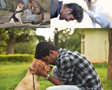 Even those who don't have pet will start loving them: '777 Charlie' director Kiran Raj | Even those who don't have pet will start loving them: '777 Charlie' director Kiran Raj