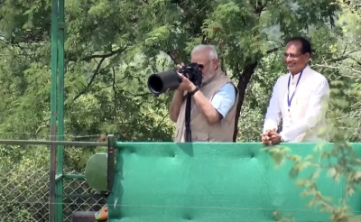 PM Modi releases eight cheetahs in MP's Kuno National park | PM Modi releases eight cheetahs in MP's Kuno National park PM Modi releases eight cheetahs in MP's Kuno National park | PM Modi releases eight cheetahs in MP's Kuno National park