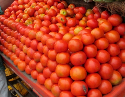 Tomato prices may stay high for another 2 months: Crisil | Tomato prices may stay high for another 2 months: Crisil