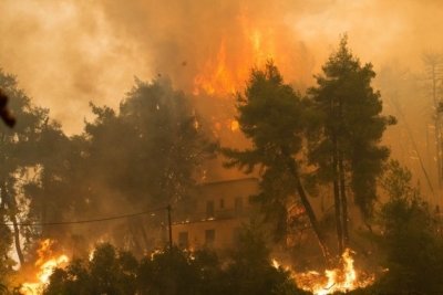 Greek court finds 10 guilty over deadliest wildfire | Greek court finds 10 guilty over deadliest wildfire Greek court finds 10 guilty over deadliest wildfire | Greek court finds 10 guilty over deadliest wildfire