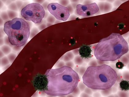 Study shows common chemotherapy drugs don't work as thought | Study shows common chemotherapy drugs don't work as thought Study shows common chemotherapy drugs don't work as thought | Study shows common chemotherapy drugs don't work as thought