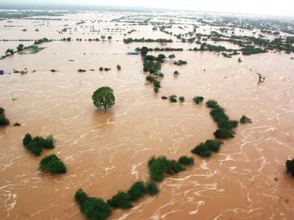After backlash from Cong & AAP, Gujarat govt unveils relief package for flood-hit farmers | After backlash from Cong & AAP, Gujarat govt unveils relief package for flood-hit farmers After backlash from Cong & AAP, Gujarat govt unveils relief package for flood-hit farmers | After backlash from Cong & AAP, Gujarat govt unveils relief package for flood-hit farmers