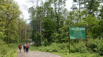 After massive green violations at Bengal's Buxa Tiger Reserve, NGT shifts camping site | After massive green violations at Bengal's Buxa Tiger Reserve, NGT shifts camping site