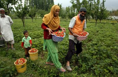 Climate change challenges: Knowledge-based cultivation crucial for agri production in J&K | Climate change challenges: Knowledge-based cultivation crucial for agri production in J&K