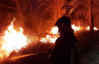 State of emergency declared in Italy's wildfire-hit Sardinia | State of emergency declared in Italy's wildfire-hit Sardinia