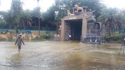 Safari Park at Hyderabad Zoo flooded | Safari Park at Hyderabad Zoo flooded