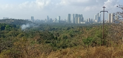 'Think, you can take court for a ride', SC penalises Mumbai Metro on tree felling in Aarey forest | 'Think, you can take court for a ride', SC penalises Mumbai Metro on tree felling in Aarey forest