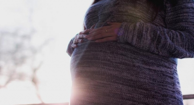 Exposure to air pollution during pregnancy increases risk for flu | Exposure to air pollution during pregnancy increases risk for flu Exposure to air pollution during pregnancy increases risk for flu | Exposure to air pollution during pregnancy increases risk for flu