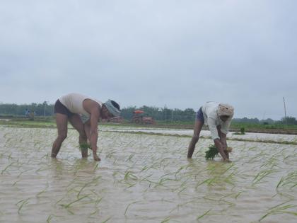 Karnataka Minister says compensation package resulting in more farmers' suicides | Karnataka Minister says compensation package resulting in more farmers' suicides Karnataka Minister says compensation package resulting in more farmers' suicides | Karnataka Minister says compensation package resulting in more farmers' suicides