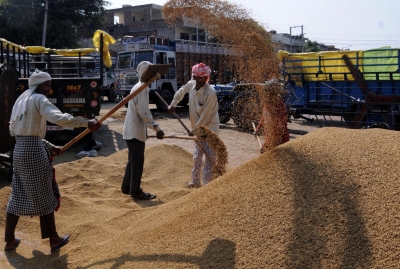 Wheat exports gets fresh push as war unsettles global supply dynamics | Wheat exports gets fresh push as war unsettles global supply dynamics