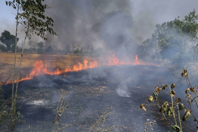 Centre to SC: Since Dec 3 stubble burning not an issue for pollution | Centre to SC: Since Dec 3 stubble burning not an issue for pollution Centre to SC: Since Dec 3 stubble burning not an issue for pollution | Centre to SC: Since Dec 3 stubble burning not an issue for pollution