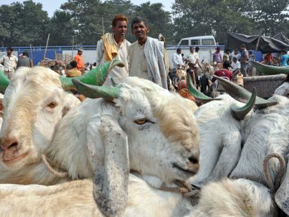 Islamic Centre issues advisory for Bakri Eid | Islamic Centre issues advisory for Bakri Eid