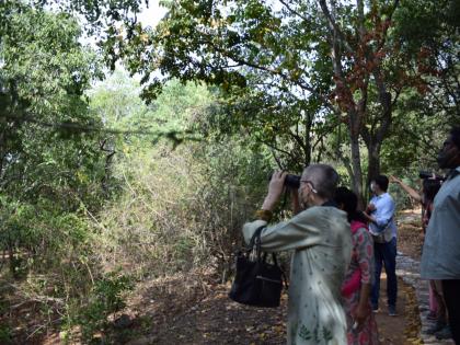 Coimbatore city bird atlas to be completed in a month | Coimbatore city bird atlas to be completed in a month