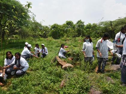 Delhi HC urges Forest Department to improve capital's air quality | Delhi HC urges Forest Department to improve capital's air quality Delhi HC urges Forest Department to improve capital's air quality | Delhi HC urges Forest Department to improve capital's air quality