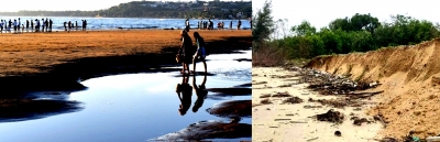Coastal erosion in Goa a threat to sunshine state's tourism economy | Coastal erosion in Goa a threat to sunshine state's tourism economy