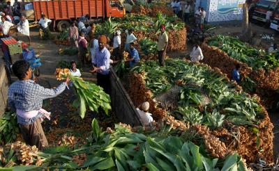 Vegetable prices in TN soar as rain pounds state | Vegetable prices in TN soar as rain pounds state