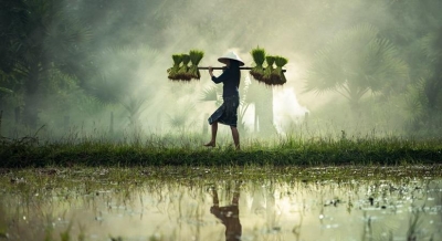 Digitally transforming agriculture | Digitally transforming agriculture Digitally transforming agriculture | Digitally transforming agriculture