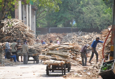 Gujarat man sets up firewood bank in UP to help poor perform cremation | Gujarat man sets up firewood bank in UP to help poor perform cremation