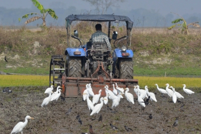 Chemical-free, natural farming with focus on Ganga basin to be promoted: FM | Chemical-free, natural farming with focus on Ganga basin to be promoted: FM