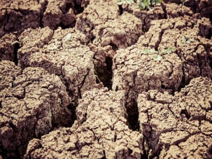 Human greed leads to chronic land degradation across world, says stark UN report | Human greed leads to chronic land degradation across world, says stark UN report