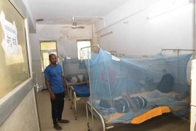 Pakistan hospitals run out of beds on dengue surge | Pakistan hospitals run out of beds on dengue surge