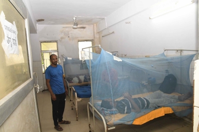 Pakistan hospitals run out of beds on dengue surge | Pakistan hospitals run out of beds on dengue surge Pakistan hospitals run out of beds on dengue surge | Pakistan hospitals run out of beds on dengue surge
