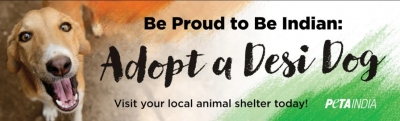 PETA India's campaign for adopting Indian dogs | PETA India's campaign for adopting Indian dogs