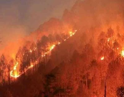 Forest fires in summer reduce solar power production: Study | Forest fires in summer reduce solar power production: Study
