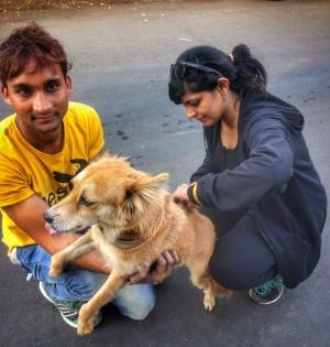 Anti-rabies vaccine available in nearly four-fifths of public health facilities in India: Lancet | Anti-rabies vaccine available in nearly four-fifths of public health facilities in India: Lancet