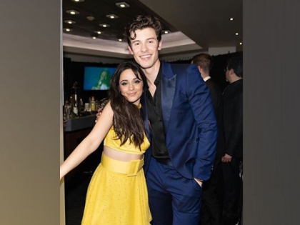 Camila Cabello fangirls over Shawn Mendes during concert | Camila Cabello fangirls over Shawn Mendes during concert