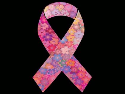 Loss of anti-tumour protein may cause resistance to certain cancer therapies | Loss of anti-tumour protein may cause resistance to certain cancer therapies Loss of anti-tumour protein may cause resistance to certain cancer therapies | Loss of anti-tumour protein may cause resistance to certain cancer therapies