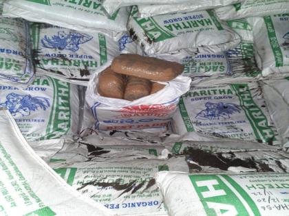 DRI officials seize 1,534 kg ganja worth over Rs 3 crore near Raipur, five arrested | DRI officials seize 1,534 kg ganja worth over Rs 3 crore near Raipur, five arrested DRI officials seize 1,534 kg ganja worth over Rs 3 crore near Raipur, five arrested | DRI officials seize 1,534 kg ganja worth over Rs 3 crore near Raipur, five arrested